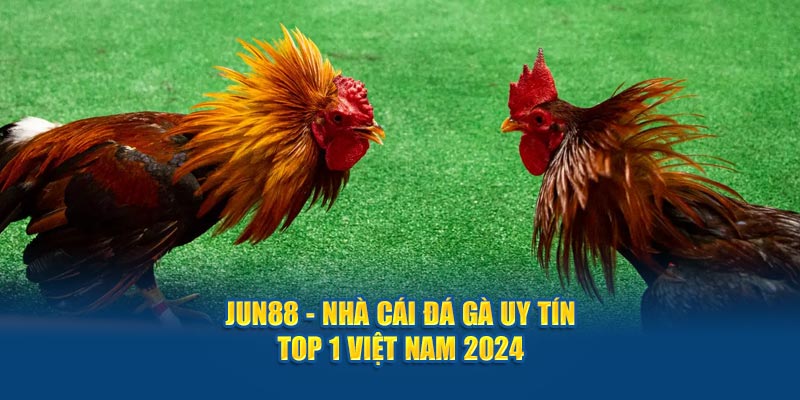jun88 nha cai da ga uy tin top 1 viet nam 2024